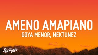 Goya Menor Nektunez – Ameno Amapiano Remix you want to bamba you want to chill with the big boys [upl. by Nonarb]