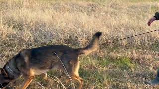 Odin Tracking at Prairie Grove 102224 [upl. by Acisey]