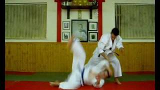 Seoi Otoshi  Wado Ryu Karate Jutsu [upl. by Jenelle951]