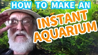 How to Setup A Natural Aquarium  Low Maintenance Quick and Easy [upl. by Sinegold266]