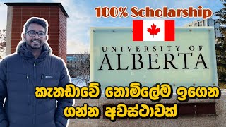 Canada scholarships for international students Canada Scholarships in Sinhala  Canada Sinhala Vlog [upl. by Girardo]