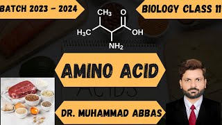 Why You Dont Need 20 Amino Acids  Amino acid [upl. by Shani330]