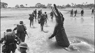 The Ramree Island Crocodile Massacre [upl. by Carper]