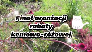 Finał aranżacji rabaty kremoworóżowej [upl. by Eimmas744]