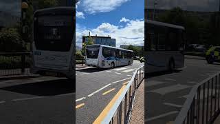 Lothian Buses amp Prentice Coaches in action at Edinburgh Royal Infirmary June 2024 [upl. by Nedloh]