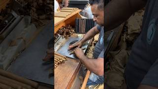 Master Cigar Roller Shows How Its Done [upl. by Eloccin]