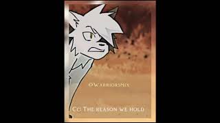 SwiftPaw edit  WarriorsMix warriorcats swiftpaw warriors brightheart [upl. by Hebert]