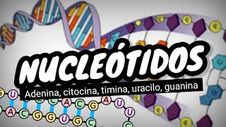 NUCLEÓTIDOS del ADN y ARN⚡¿que son Fácil y sencillo en 3 minutos [upl. by Leilamag]