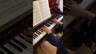 Schubert  Impromptu Op 90 No 4  Part I take 1 [upl. by Duaner2]