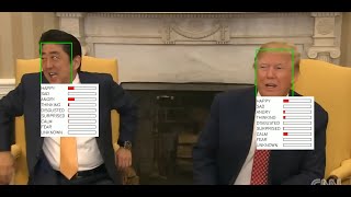 Trump amp PM Shinzo Abe AWKWARD Handshake  AI Emotion Analysis [upl. by Assiralk]