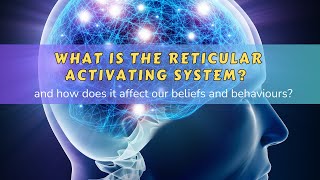 What is the Reticular Activating System [upl. by Ialohcin924]