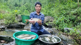 Harvest milkfish to The farm for preservation  how to marinate fish  Solo Survival [upl. by Esinnej]