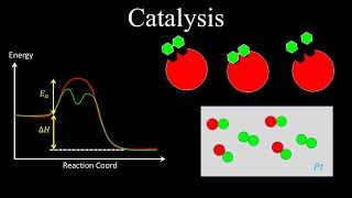 Catalysts Enzyme Catalysis AcidBase Catalysis Surface  Chemistry [upl. by Monda]