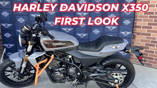 HARLEY DAVIDSON X350 FIRST LOOK [upl. by Anitneuq]