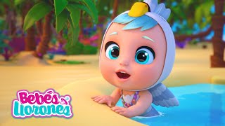 VERANO PLAYA y Bebés Llorones Lágrimas Mágicas ⛱💕 CAPÍTULOS COMPLETOS para niños en español [upl. by Lleral]