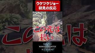 イビルジョー戦なのに受付嬢を探す羽目になる男【MHWIB実況切り抜き】 [upl. by Halley]