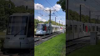 Rheinbahn U73 🇩🇪 Düsseldorf City shorts youtube video tram germany europe travel 2024 [upl. by Stefania]