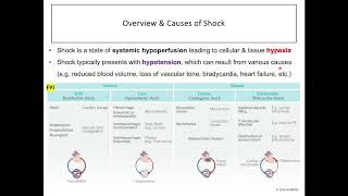 Vasopressors and Inotropes Drugs Used in Hypotension amp Shock [upl. by Llenrad]