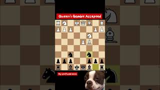 Queens Gambit AcceptedCheckmate in 13 movesFastest checkmate in chess [upl. by Constancy]