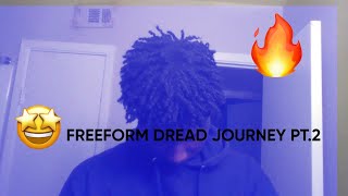 3 MONTH FREEFORM DREAD JOURNEY FAST PROGRESS [upl. by Faith]