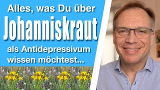 Johanniskraut Alles was Du über das pflanzliche Antidepressivum wissen möchtest [upl. by Azil889]