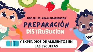 Lineamientos para la expedición y preparación de alimentos en las escuelas [upl. by Thunell]