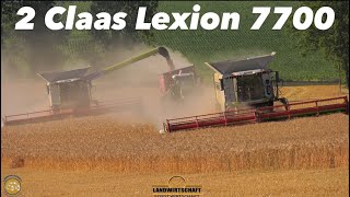 216m auf einem Streich 2x 7700 Lexion Mähdrescher in der Getreideernte in Sachsen Landwirtschaft [upl. by Warms]