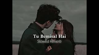 Tu Bemisal Hai Slowed Reverb [upl. by Ocker]