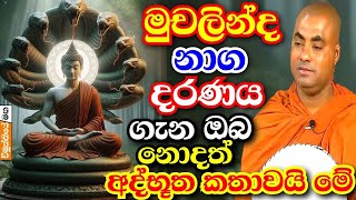 මුචලින්ද නාග රාජයා ගැන ඔබ මේ කාරණා කලින් අහලා නැතිව ඇති  Koralayagama saranathissa thero bana 2024 [upl. by Edmonda]