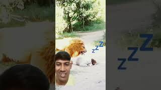 Dog prank funny videos 😳 prank doglover tiger comedy funny shorts [upl. by Careaga582]