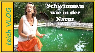 Warum ein Schwimmteich die beste Wahl ist [upl. by Krystyna]