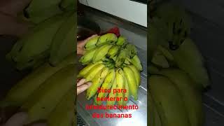 Dica amadurecer banana rapidamente reaproveitar alimentacaosaudavel delmirogouveia terra [upl. by Muirhead]