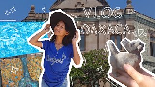 vlog🌱 Oaxaca  Viaje de estudios 🩷🤓 [upl. by Nosnibor]