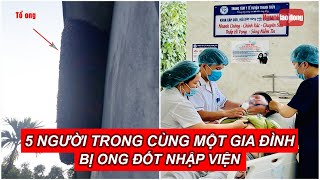 Bị đàn ong làm tổ trên mái nhà tấn công gia đình 5 người nhập viện cấp cứu  Báo Người Lao Động [upl. by Heindrick305]