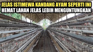 JELAS ISTIMEWA KANDANG AYAM SEPERTI INI JADI LADANG PENGHASIL UANG DAN HEMAT LAHAN [upl. by Uthrop138]