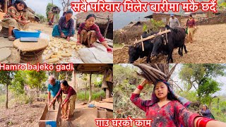 सबै परिवार मिलेर बारीमा मकै छर्दै गाउ घर नै राम्रो अनि रमाइलो  Hamro Bajeko gadi [upl. by Trillby757]