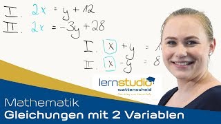 Gleichungen mit zwei Variablen  Mathematik Nachhilfe [upl. by Ainolloppa]