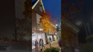 The village roosendaal outlet [upl. by Rexford]