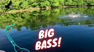 Bass Fishing TOPWATER MADNESS  GIVEAWAY [upl. by Ahsinelg]