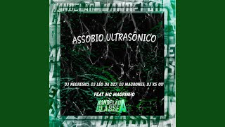 Assobio Ultrasônico [upl. by Vod429]