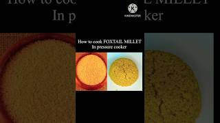 How To Cook FoxTail Millet In Pressure CookerFoxTail Millet Recipe For Weight loss shorts millet [upl. by Creigh]