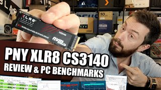 PNY XLR8 CS3140 SSD Review amp Benchmark  GAME ON [upl. by Eilesor781]