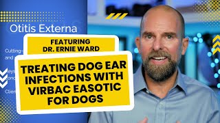 Treating Dog Ear Infections with Virbac Easotic featuring Dr Ernie Ward [upl. by Dierolf]