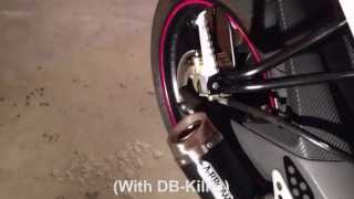 Yamaha R125 Biggest Exhaust Collection  Arrow Thunder Akrapovic Leovince [upl. by Naujaj]