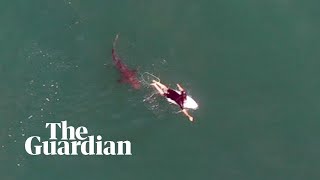 Shark circles world championship surfer in Australia in astonishing nearmiss [upl. by Ellehcar]