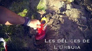 Les délices de lUrsuia 2015 [upl. by Hurwit]