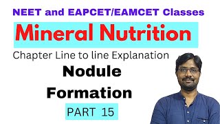 Nodule Formation  Mineral Nutrition Chapter Line to line Explanation  PART 15 [upl. by Monahan]