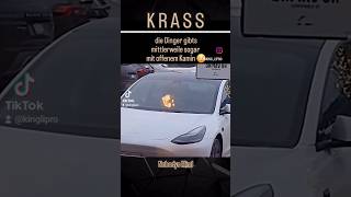 Neue Tesla Winteredition mit gemütlichem Kamin 😅 tesla fun meme kamin fire elonmusk reel [upl. by Fairlie]