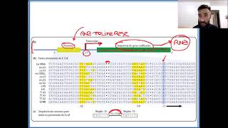 Aula 13  Transcrição gênica [upl. by Valina]