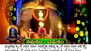 Sri Rudram  with Telugu Lyrics [upl. by Bone]